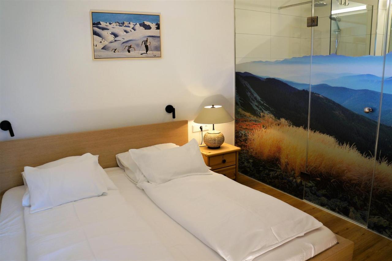 Apartment Germann *