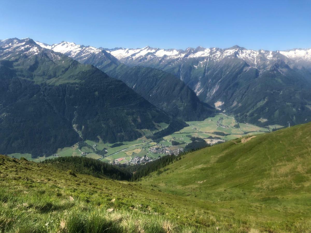 Appartement Germann